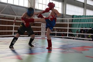 В Великих Луках прошел Кубок области по кикбоксингу (ФОТО)
