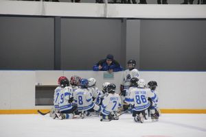 Детский турнир по хоккею прошел в Великих Луках (ФОТО)