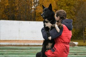 Объявляем победителей фотоконкурса «Косточка к Новому году» (ФОТО)