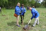В Великих Луках посадили берёзы в рамках Всероссийской акции (ФОТО)