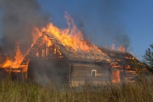 В Псковской области пьяный мужчина спалил дом (фото)