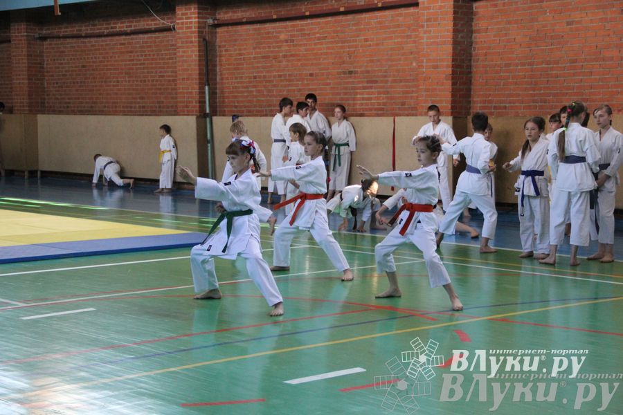 Турнир по каратэ