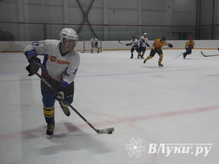 Определилась команда, которая будет представлять город на Кубке области по хоккею (ФОТО)