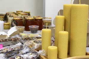 Где в Великих Луках попробовать живой шоколад на меду и вздремнуть на ульях?