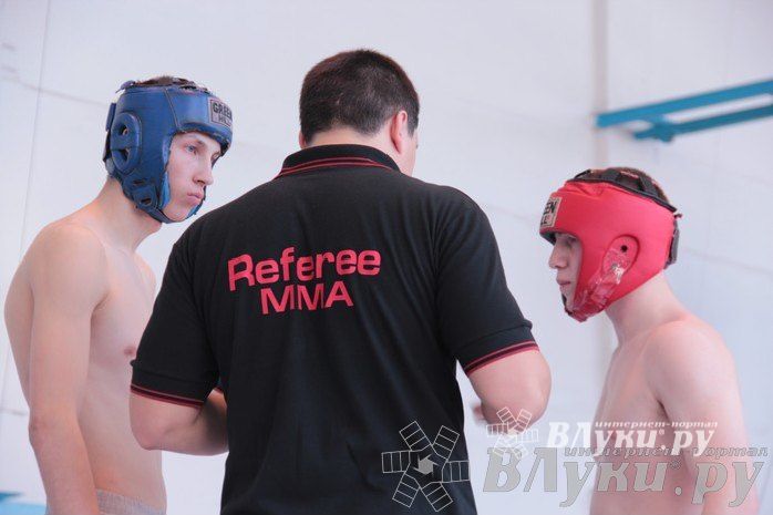 Чемпионат Псковской области по ММА