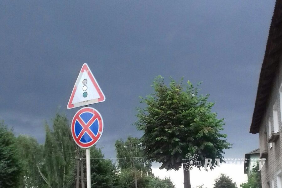 Ураган в Псковской области валил деревья и срывал крыши (ФОТО)