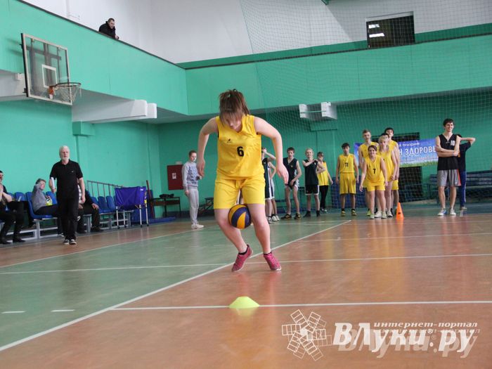 В Великих Луках прошли соревнования на Кубок Красного Креста