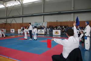 В Великих Луках состоялся Чемпионат и первенство Псковской области по тхэквондо МФТ (ФОТО)