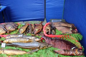 В Пскове проходит 22-ая универсальная выставка (фото)