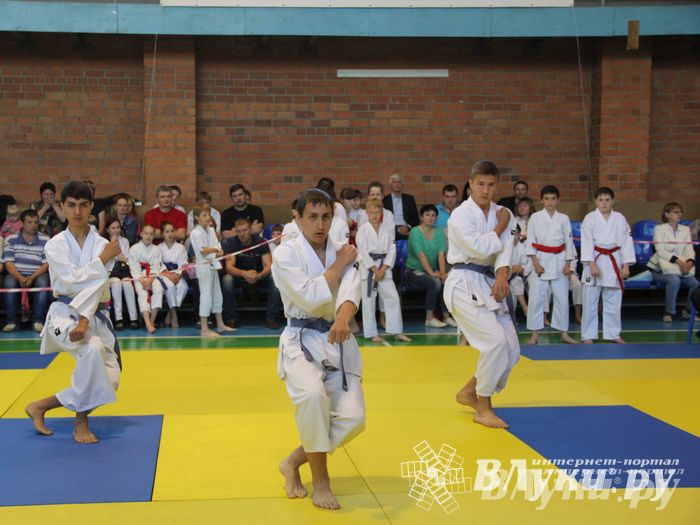 Великолучане стали победителями турнира по каратэ «Неприкосновенный запас, дети — Отчизны 2015» (фото)