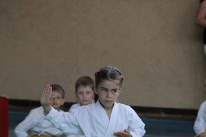 Турнир по каратэ