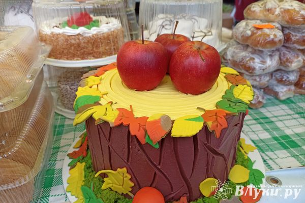 В Великих Луках прошла универсальная осенняя ярмарка (ФОТО)