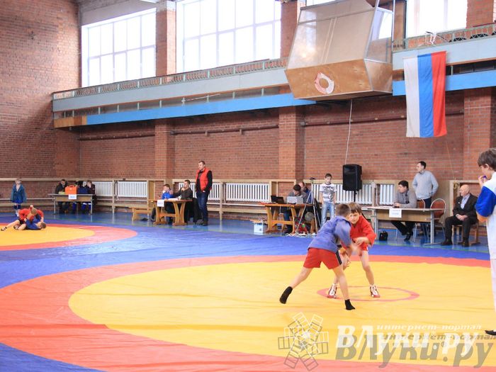 Состоялось Открытое первенство города Великие Луки по борьбе самбо
