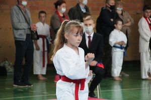 Открытый Кубок города Великие Луки по каратэ WKF (ФОТО)