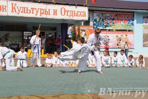 В Великих Луках отметили День физкультурника