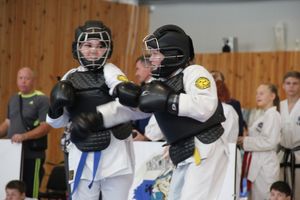 1-й Фестиваль боевых искусств состоялся в Великих Луках  (ФОТО)