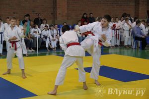 Великолучане стали победителями турнира по каратэ «Неприкосновенный запас, дети — Отчизны 2015» (фото)