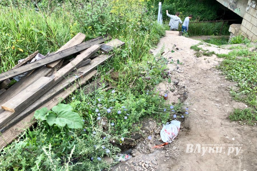 Великолучанка собралась жаловаться Путину на опасный Лазавицкий переезд (ФОТО)