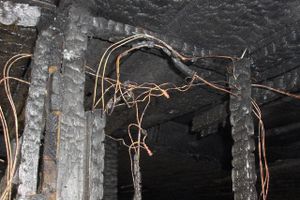 В Псковской области сгорел дом (фото)