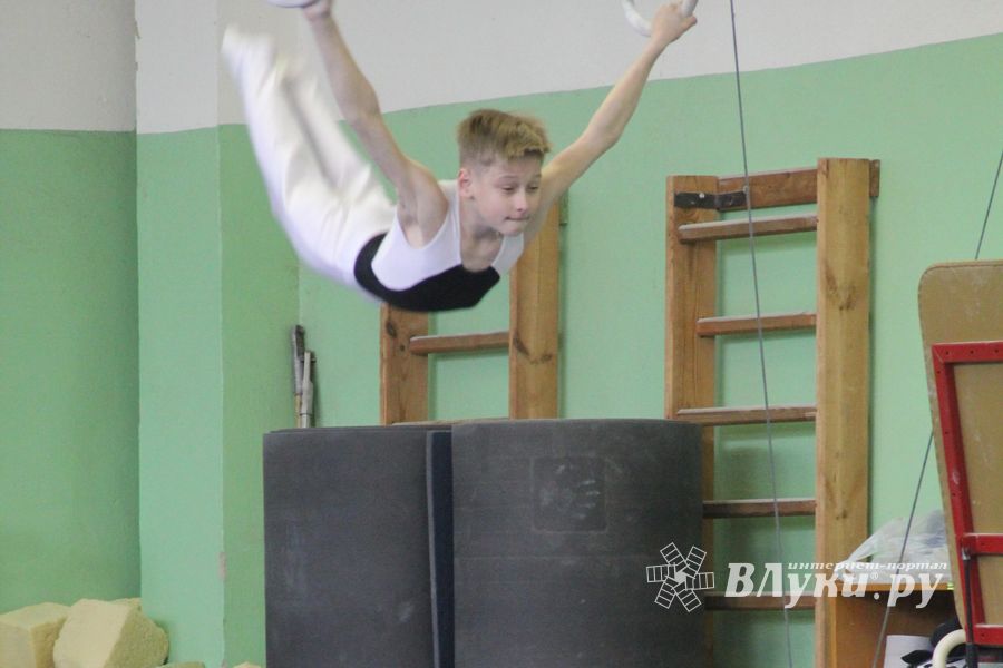 В Великих Луках прошел турнир по спортивной гимнастике (фото)