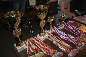 V-й открытый Чемпионат Велики Лук по армрестлингу