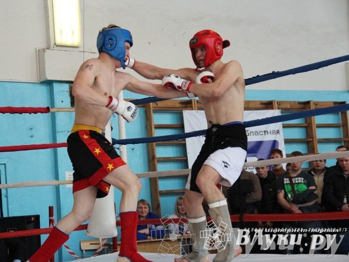 Чемпионат Псковской области по ММА