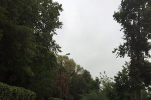 В Великих Луках продолжают благоустраивать городской парк (фоторепортаж)