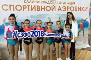 Великолукские спортсмены удачно выступили на ​Чемпионате и первенстве СЗФО по спортивной аэробике (ФОТО)