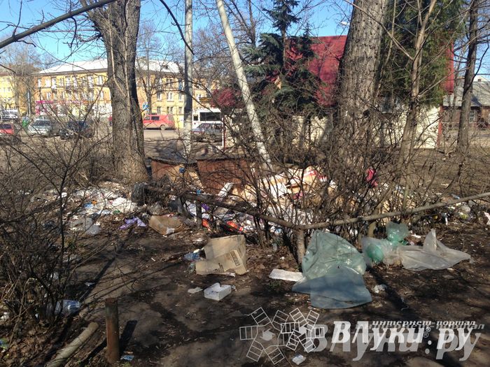 Весне дорогу!