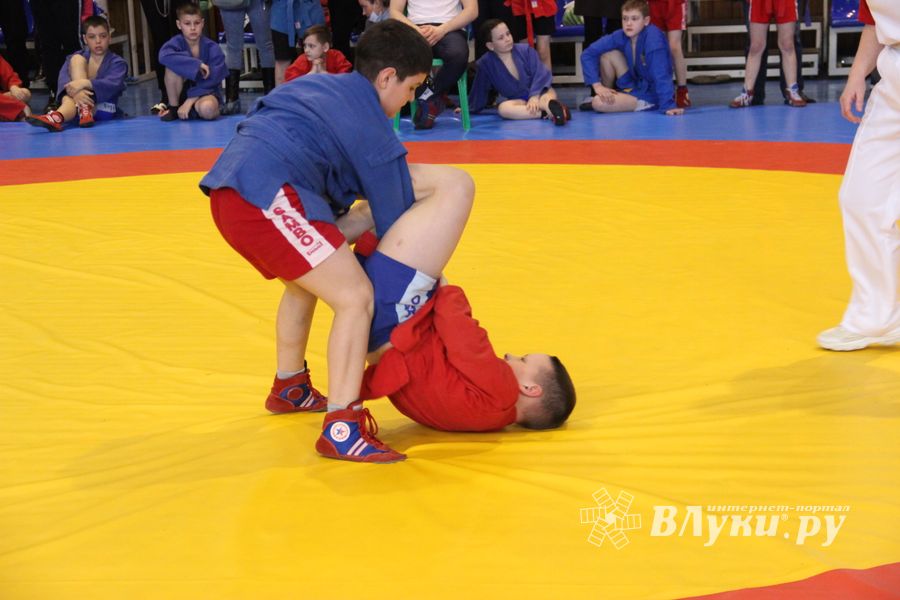 В Великих Луках проходит фестиваль (ФОТО)