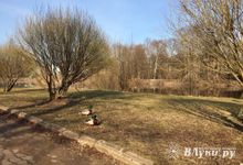 Март может закончиться рекордным майским теплом