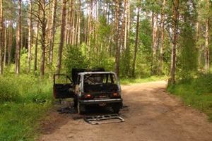 Автомобиль, сгоревший в Невельском районе, был куплен накануне (ФОТО)