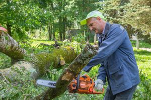 Небезразличные великолучане помогают убрать город после урагана (ФОТО)