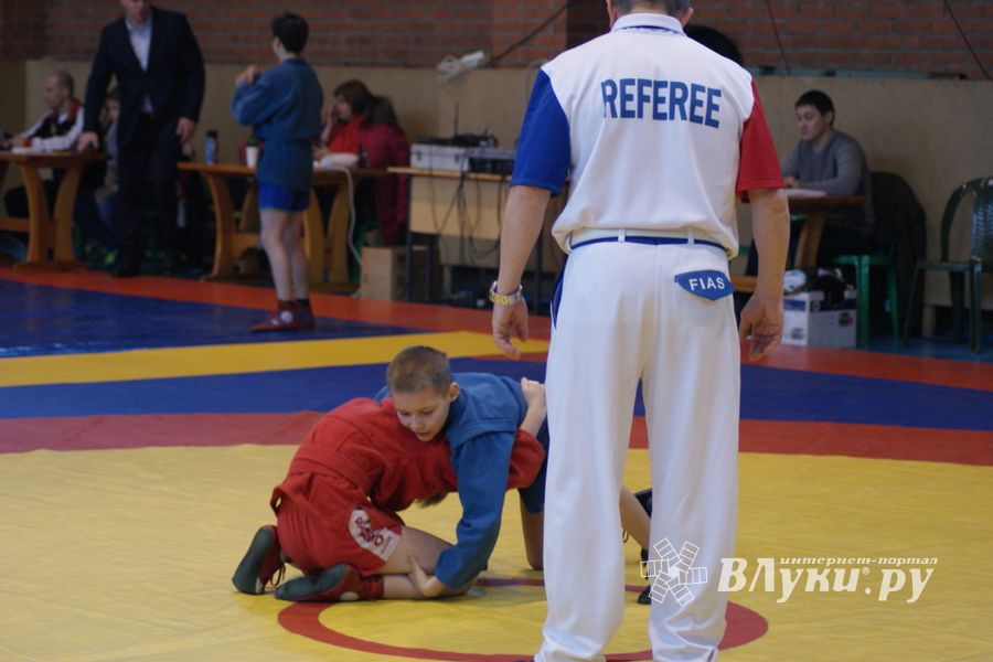 Великолучане завоевали призовые места на турнире по самбо «Память» (ФОТО)