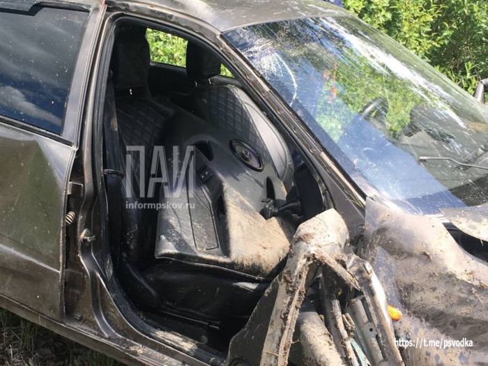 Фото: Псковская сводка