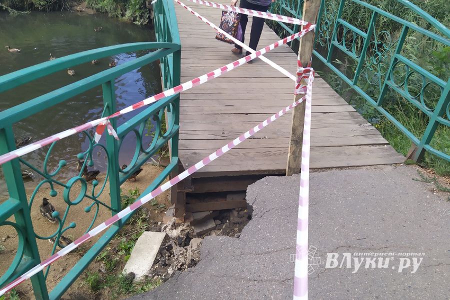 Великолучанка написала губернатору про «загубленную речушку» (ФОТО)