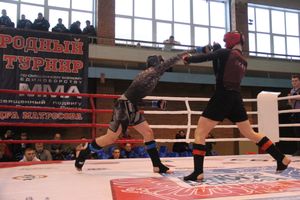 В Великих Луках прошел международный открытый Кубок по смешанному боевому единоборству (ФОТО) (16+)