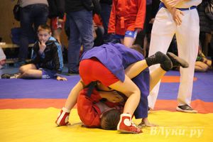 Великолучане стали первыми в общекомандном зачете турнира по самбо «Память»
