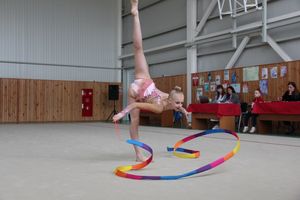 В Великих Луках прошли соревнования по по художественной гимнастике (ФОТО)