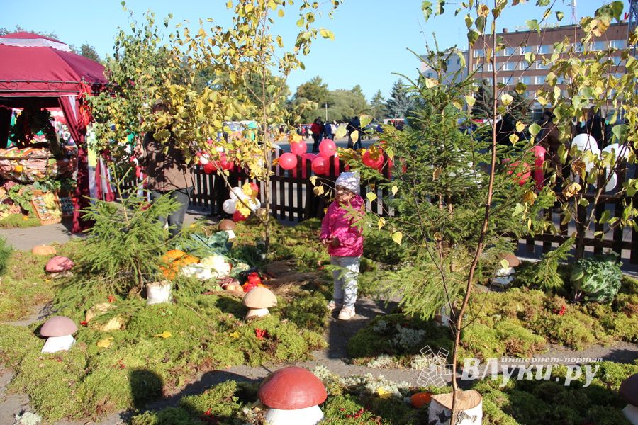 В Великих Луках прошла универсальная осенняя ярмарка (ФОТО)