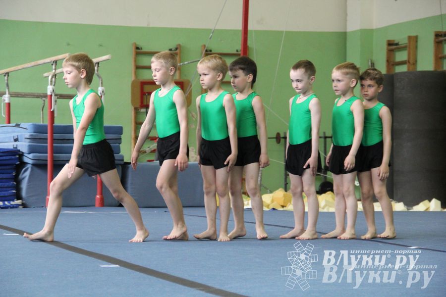 В Великих Луках состоялось Первенство по командной гимнастике (фото)