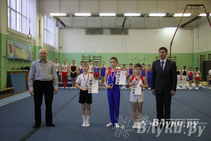 В Великих Луках прошло Первенство Области по спортивной гимнастики (фото)