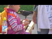 Импульс-ТВ: Опрос. Всемирный день красоты 