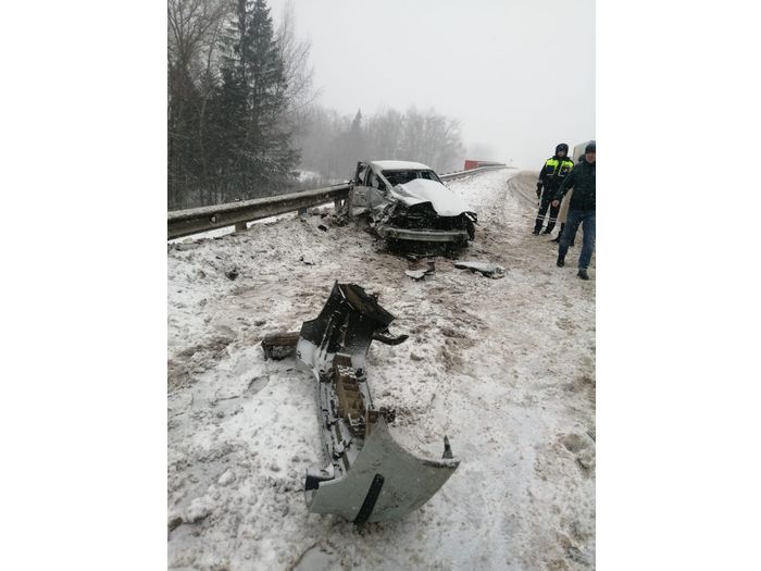 На М-9 лоб в лоб столкнулись тягач и легковушка (ФОТО)