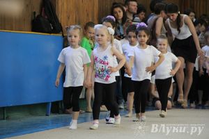 В Великих Луках прошло Первенство по художественной гимнастике (фото)