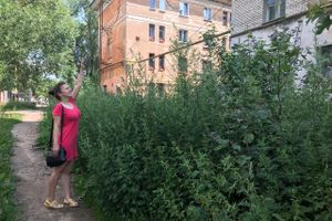 Пора приглашать англичан в Великие Луки (ФОТО)