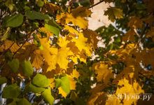 Прогноз погоды в Великих Луках на 14 октября