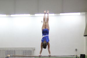 В Великих Луках состоялось  Первенство города по спортивной гимнастике (фото)