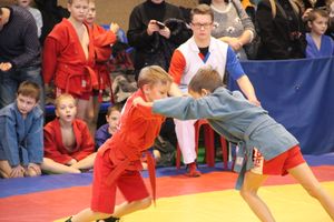 В Великих Луках проходит турнир самбистов (ФОТО)