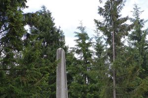 Фото А. Воробьева